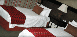 Quality Hotel Burke  Wills - Kingaroy Accommodation