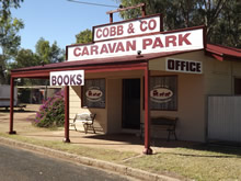 Cobb  Co Caravan Park - Kingaroy Accommodation