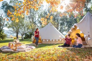 Valley View Glamping - Kingaroy Accommodation