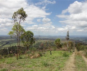 City View Camping and 4WD Park - Kingaroy Accommodation