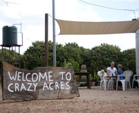 Crazy Acres - Kingaroy Accommodation