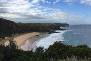 Phillip Island George Bass Coastal Walk and Penguins Tour - Kingaroy Accommodation