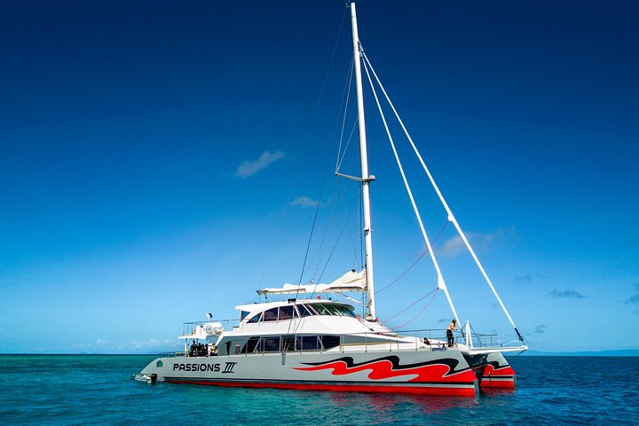 Passions of Paradise Great Barrier Reef Snorkel and Dive Cruise from Cairns by Luxury Catamaran - Kingaroy Accommodation